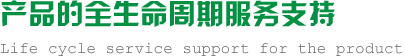 非標(biāo)機械手